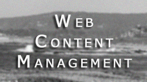 CTA Web Marketing - Web Content Management